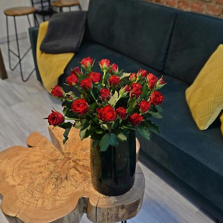 Loft Maly Apartment Косцежина Екстериор снимка
